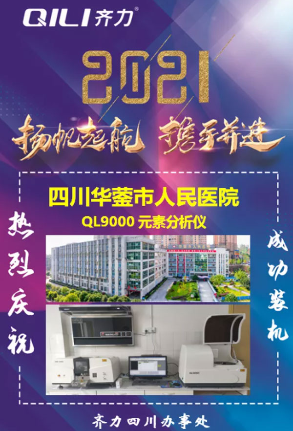 雙原理元素分析儀 雙原理元素分析儀